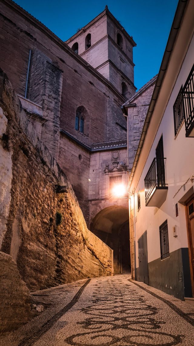 ⚜️ This is Granada 🩵🩵🩵  #Granada #Oldtown #Alhambra #Albayzin #Albaicin #alhambra #unesco #Andalucia #Spain #España #visitgranada #tourguide #flowers #springtime #hiddencorners #nightlights #architecturelovers
